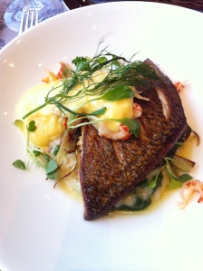 Lunch dish at Perho: lake white fish (helt/sik)  with risotto, cale and sauce hollandaise with crayfish
